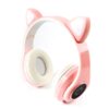 Беспроводные наушники - Cat Ear HL89