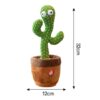 Танцующий кактус Dancing Cactus