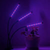 Фитолампа для растений (фитосветильник) Led Plant Grow Light CP-03