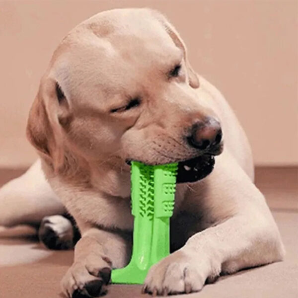 Зубная силиконовая щетка | Массажер для чистки зубов крупных собак Pet Toothbrush