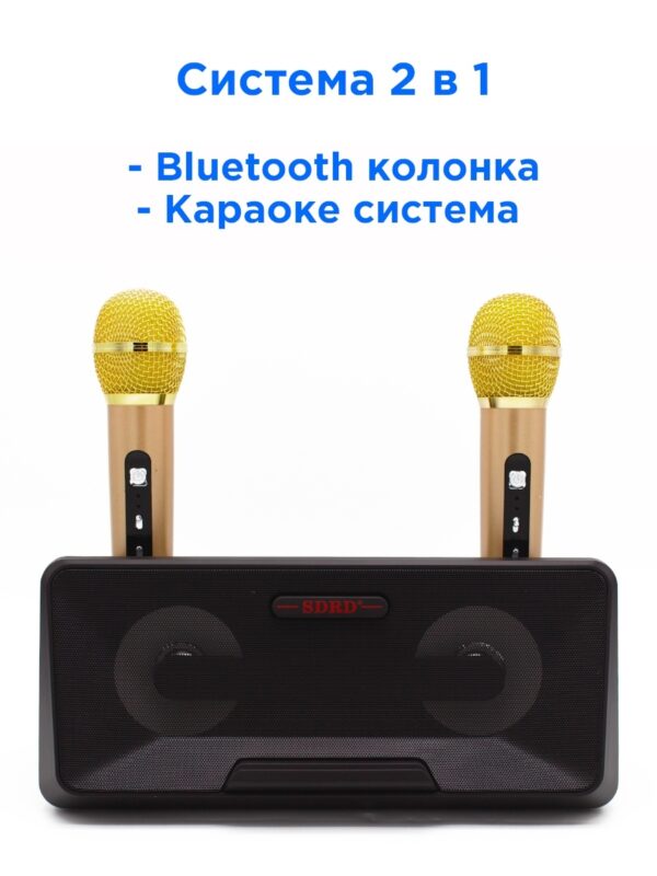 Караоке система на два микрофона | Колонка-караоке с беспроводными микрофонами SD-301