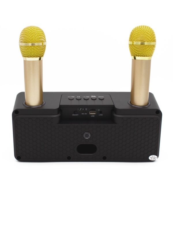 Караоке система на два микрофона | Колонка-караоке с беспроводными микрофонами SD-301