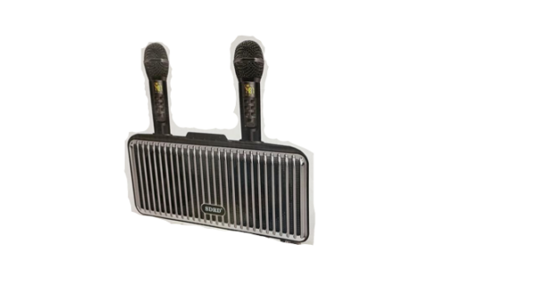 Караоке система на два микрофона | Колонка-караоке с беспроводными микрофонами SD-319