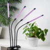 Фитолампа для растений полный спектр, 4 светильника | Лампа для растений | Лампа для цветов | Светильник для растений | Фито лампа | Фитосветильник | Подарок на праздник