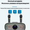 Караоке система на два микрофона | Колонка-караоке с беспроводными микрофонами SD-316