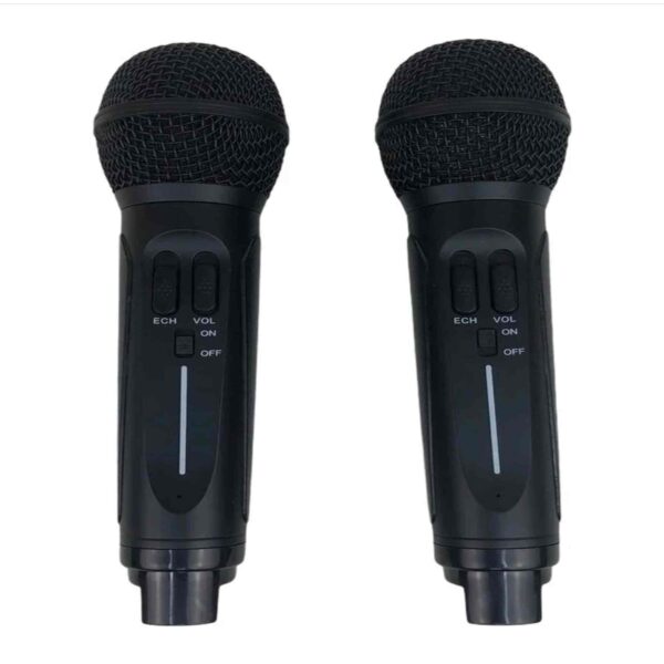 SD-306 - bluetooth колонка-караоке с беспроводными микрофонами