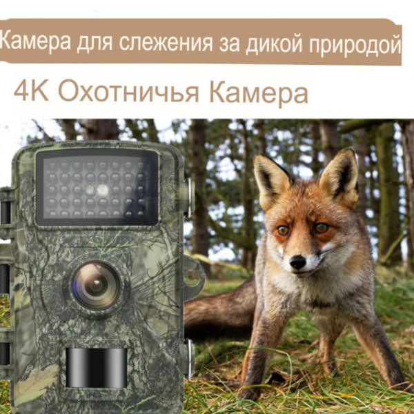 Фотоловушка для наблюдения за животными