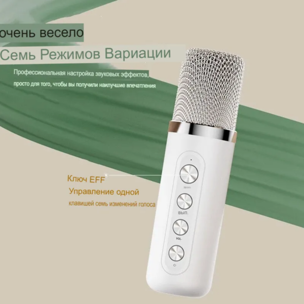 Портативная беспроводная колонка-караоке с 2 микрофонами YS-223